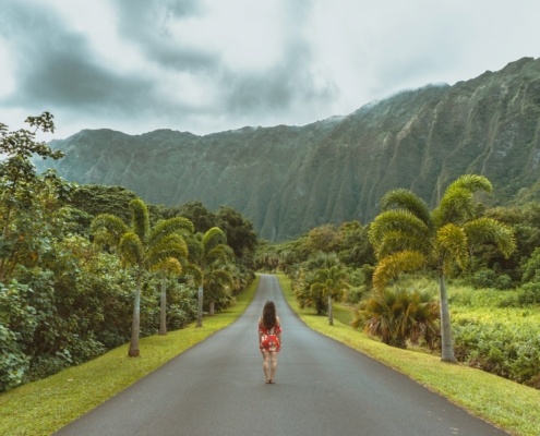 Chinese herbal medicine and acupuncture treatment for menopause in women by Enliven Health in San Antonio