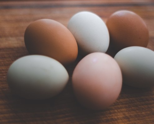 Aging female eggs and fertility treatments