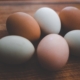 Aging female eggs and fertility treatments